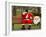 Ronald Guzman, Who Works as Santa Claus, Takes a Break in a Public Park in Lima, Peru-null-Framed Photographic Print