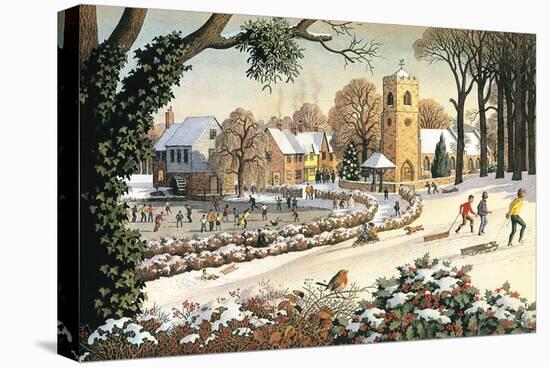 Stretched Canvas Print, , large