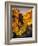 Ronda, Andalucia, Spain-Doug Pearson-Framed Photographic Print