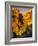 Ronda, Andalucia, Spain-Doug Pearson-Framed Photographic Print