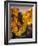 Ronda, Andalucia, Spain-Doug Pearson-Framed Photographic Print