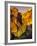 Ronda, Andalucia, Spain-Doug Pearson-Framed Photographic Print