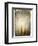 Rooble-Craig Satterlee-Framed Photographic Print