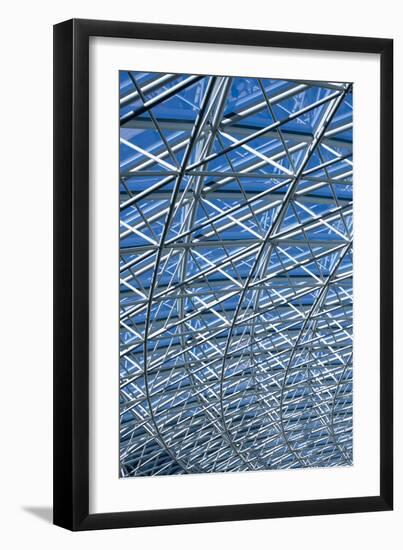 Roof Detail of Victoria Square, Belfast, Northern Ireland-David Barbour-Framed Photo