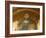 Roof Mosaic of Christ the Pantocrator, Church of St. Saviour in Chora, Istanbul, Turkey, Europe-Godong-Framed Photographic Print