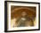 Roof Mosaic of Christ the Pantocrator, Church of St. Saviour in Chora, Istanbul, Turkey, Europe-Godong-Framed Photographic Print