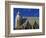 Roof of Stephansdom, UNESCO World Heritage Site, Vienna, Austria, Europe-Hans Peter Merten-Framed Photographic Print