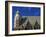 Roof of Stephansdom, UNESCO World Heritage Site, Vienna, Austria, Europe-Hans Peter Merten-Framed Photographic Print