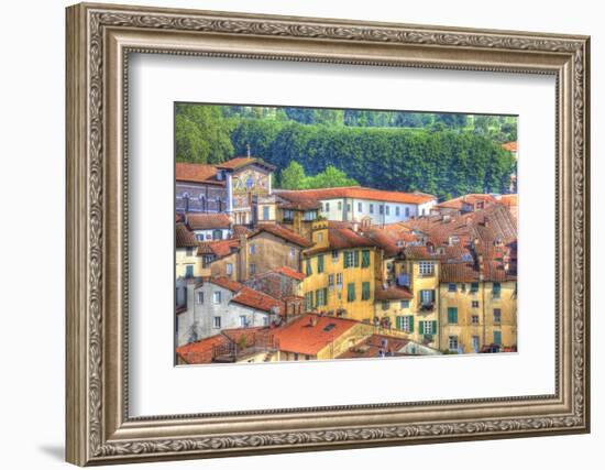 Roof Tops of Lucca, Lucca, Italy-Terry Eggers-Framed Photographic Print