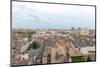 Rooftop view of Saint John the Baptist Cathedral and Old Town, Lyon, France-Jim Engelbrecht-Mounted Photographic Print