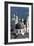 Rooftop View of the Baroque Church Domes and Spires of Salzburg, Austria-Julian Castle-Framed Photo