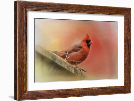 Rooftop Visitor Cardinal-Jai Johnson-Framed Giclee Print