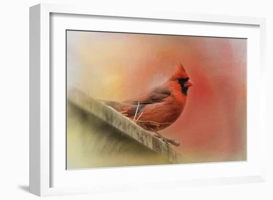 Rooftop Visitor Cardinal-Jai Johnson-Framed Giclee Print