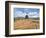 Rooftops and Cusco Cathedral, Cusco, Peru-Miva Stock-Framed Photographic Print