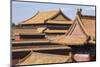 Rooftops, Forbidden City, Beijing, China, Asia-Janette Hill-Mounted Photographic Print