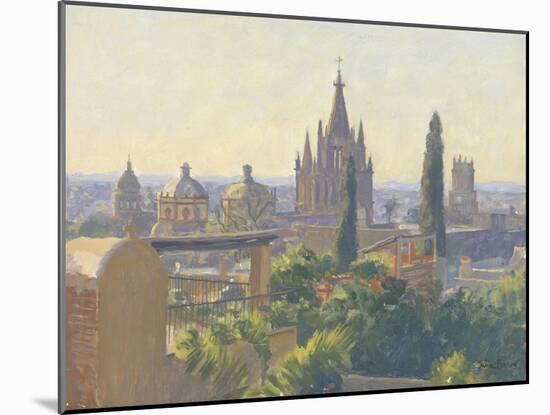 Rooftops of San Miguel Allende, 2005-Julian Barrow-Mounted Giclee Print