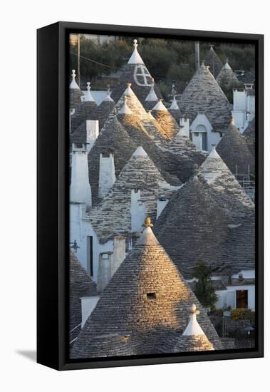 Rooftops of Traditional Trullos (Trulli) in Alberobello-Martin-Framed Premier Image Canvas