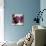 Room For More I-Natasha Barnes-Mounted Art Print displayed on a wall