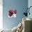 Room For More II-Natasha Barnes-Premium Giclee Print displayed on a wall