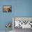 Rooms, 1997- 2001-David Arsenault-Framed Premier Image Canvas displayed on a wall