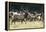 Roosevelt Bull Elk With Herd-Panoramic Images-Framed Premier Image Canvas