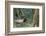 Roosevelt Bull Elk-Ken Archer-Framed Photographic Print