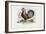 Rooster, 1863-79-Raimundo Petraroja-Framed Giclee Print