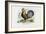 Rooster, 1863-79-Raimundo Petraroja-Framed Giclee Print