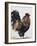 Rooster 1-Renee Gould-Framed Giclee Print