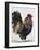 Rooster 1-Renee Gould-Framed Giclee Print