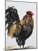 Rooster 1-Renee Gould-Mounted Giclee Print