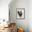 Rooster 2-Renee Gould-Framed Giclee Print displayed on a wall