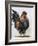 Rooster 2-Renee Gould-Framed Giclee Print