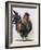 Rooster 2-Renee Gould-Framed Giclee Print