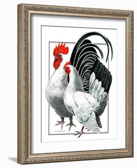 Rooster and Chicken-C.R. Patterson-Framed Giclee Print