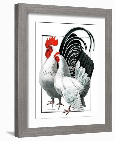 Rooster and Chicken-C.R. Patterson-Framed Giclee Print