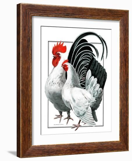 Rooster and Chicken-C.R. Patterson-Framed Giclee Print