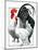 Rooster and Chicken-C.R. Patterson-Mounted Giclee Print