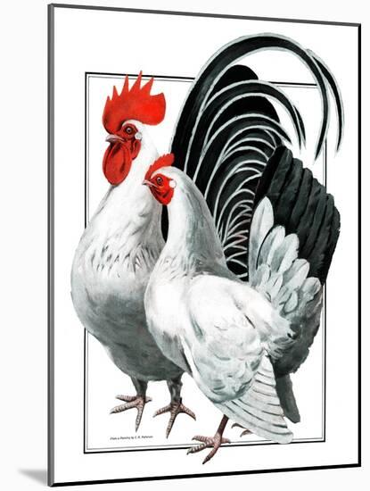 Rooster and Chicken-C.R. Patterson-Mounted Giclee Print