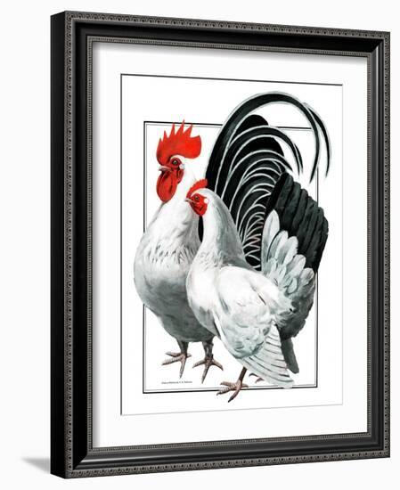 Rooster and Chicken-C.R. Patterson-Framed Giclee Print