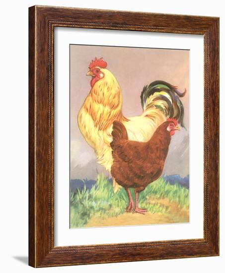 Rooster and Hen-null-Framed Art Print