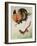 Rooster and Weasel-Koson Ohara-Framed Giclee Print