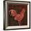 Rooster Damask 1-Diane Stimson-Framed Art Print