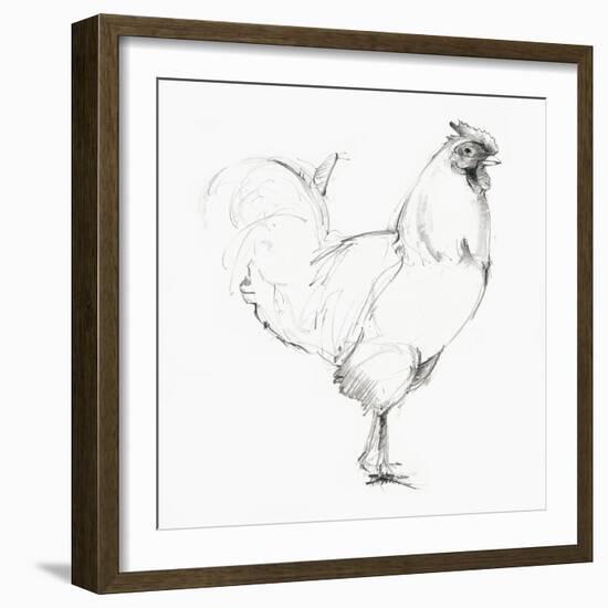 Rooster II-Avery Tillmon-Framed Art Print