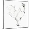 Rooster II-Avery Tillmon-Mounted Art Print