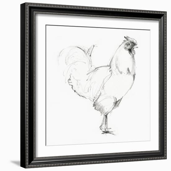 Rooster II-Avery Tillmon-Framed Art Print