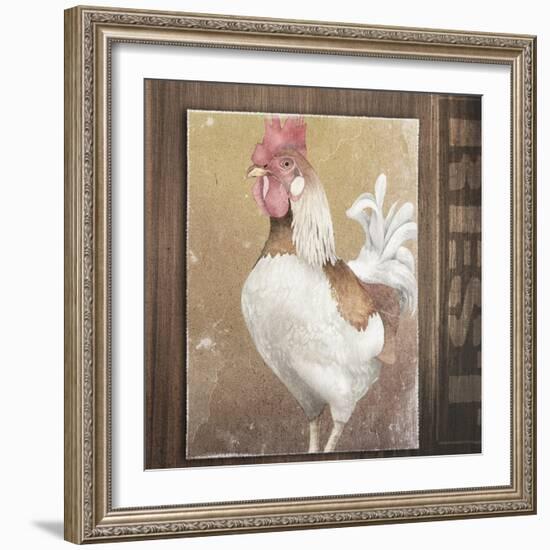 Rooster II-Kory Fluckiger-Framed Giclee Print