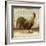 Rooster on Damask I-Dan Meneely-Framed Art Print