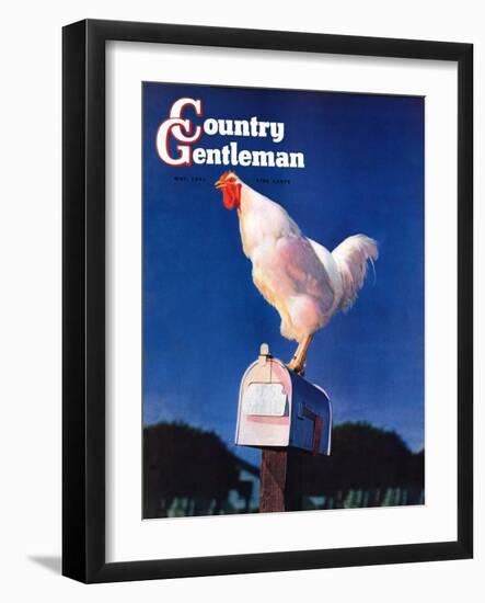 "Rooster on Mailbox," Country Gentleman Cover, May 1, 1941-null-Framed Giclee Print