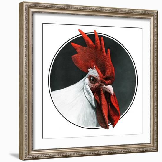 Rooster Photograph-C.R. Patterson-Framed Giclee Print